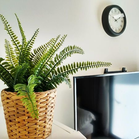 Beautiful Studio On Jerusalem Boulevard Тел Авив Екстериор снимка